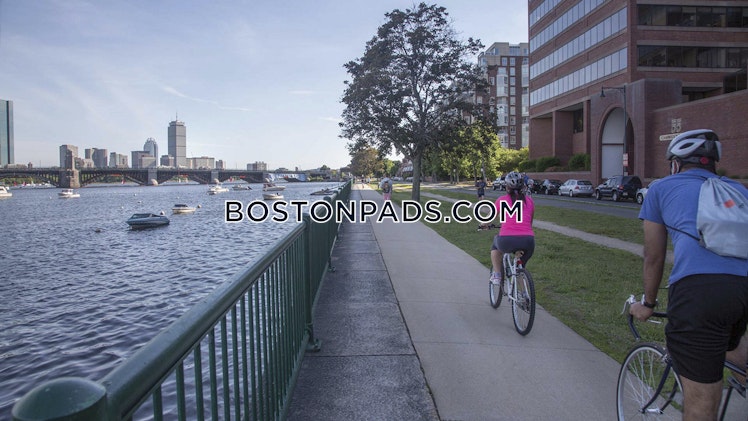 Rogers St., Cambridge