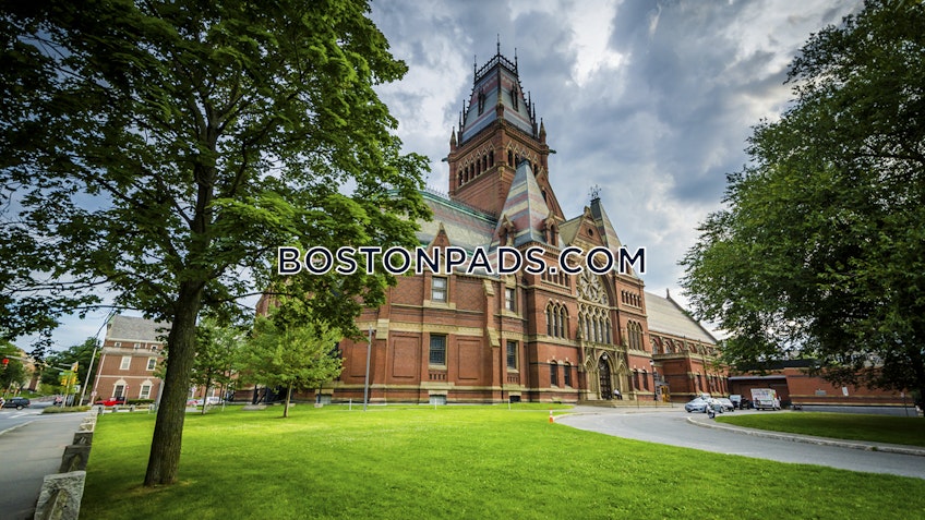 Cambridge - $5,449+ /month