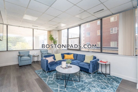 Babcock St. Boston photo 14