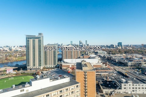 Babcock St. Boston photo 7