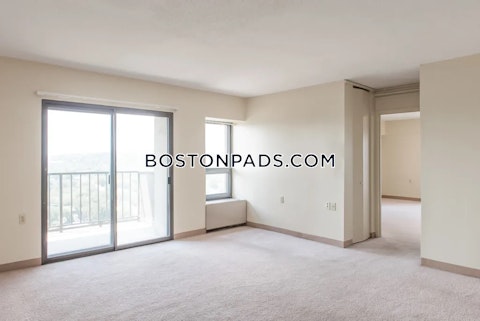 Babcock St. Boston photo 18