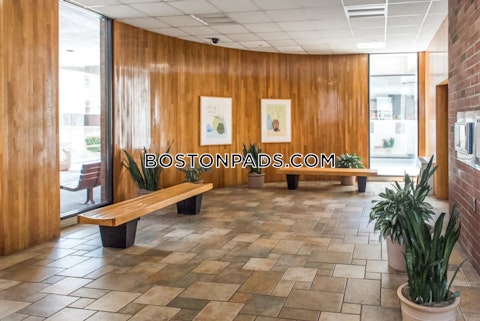 Babcock St. Boston photo 5