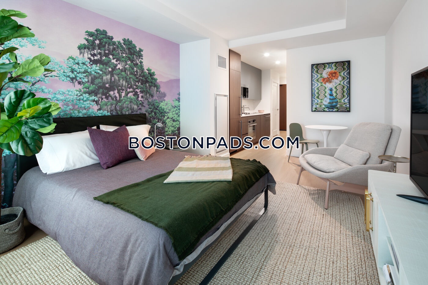 Boston - 1 Beds, 1 Baths