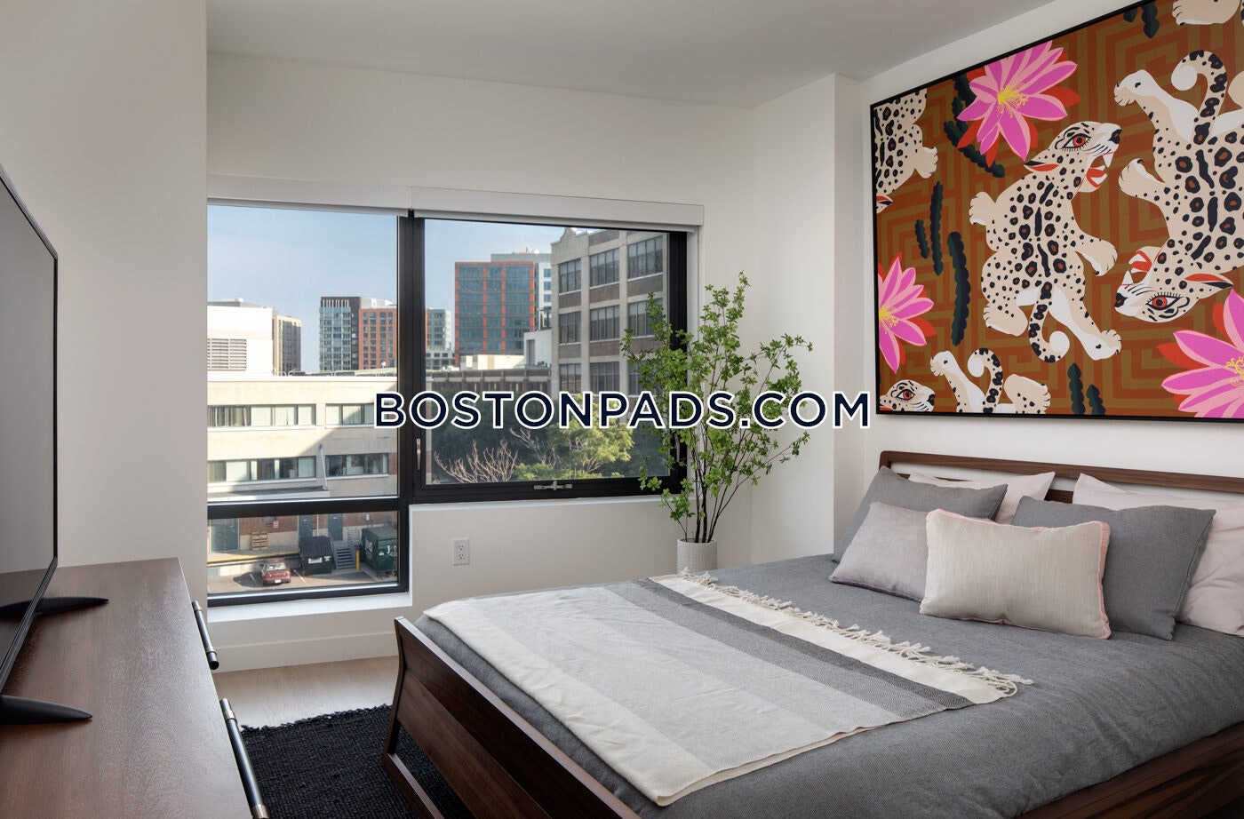Boston - 1 Beds, 1 Baths