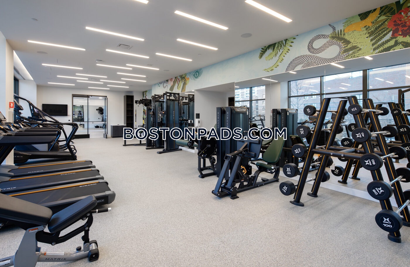 Boston - 1 Beds, 1 Baths