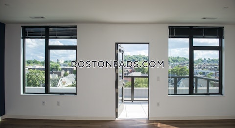 Brighton Ave. Boston photo 19