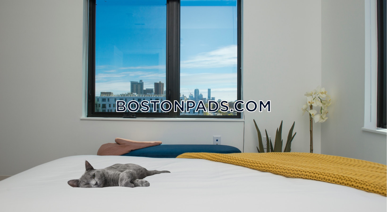 Boston - 2 Beds, 2 Baths