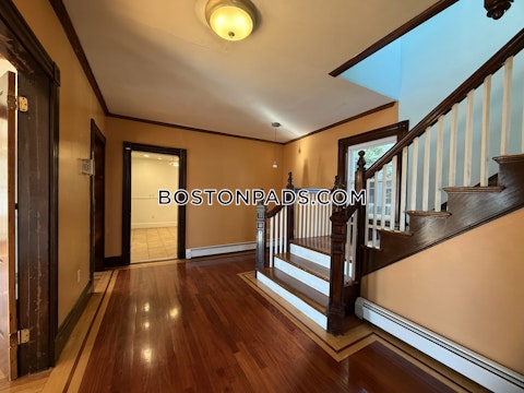 Talbot Ave. Boston photo 20