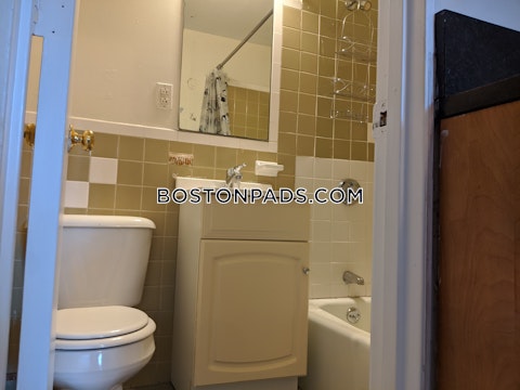 Wait St. Roxbury Crossing photo 33