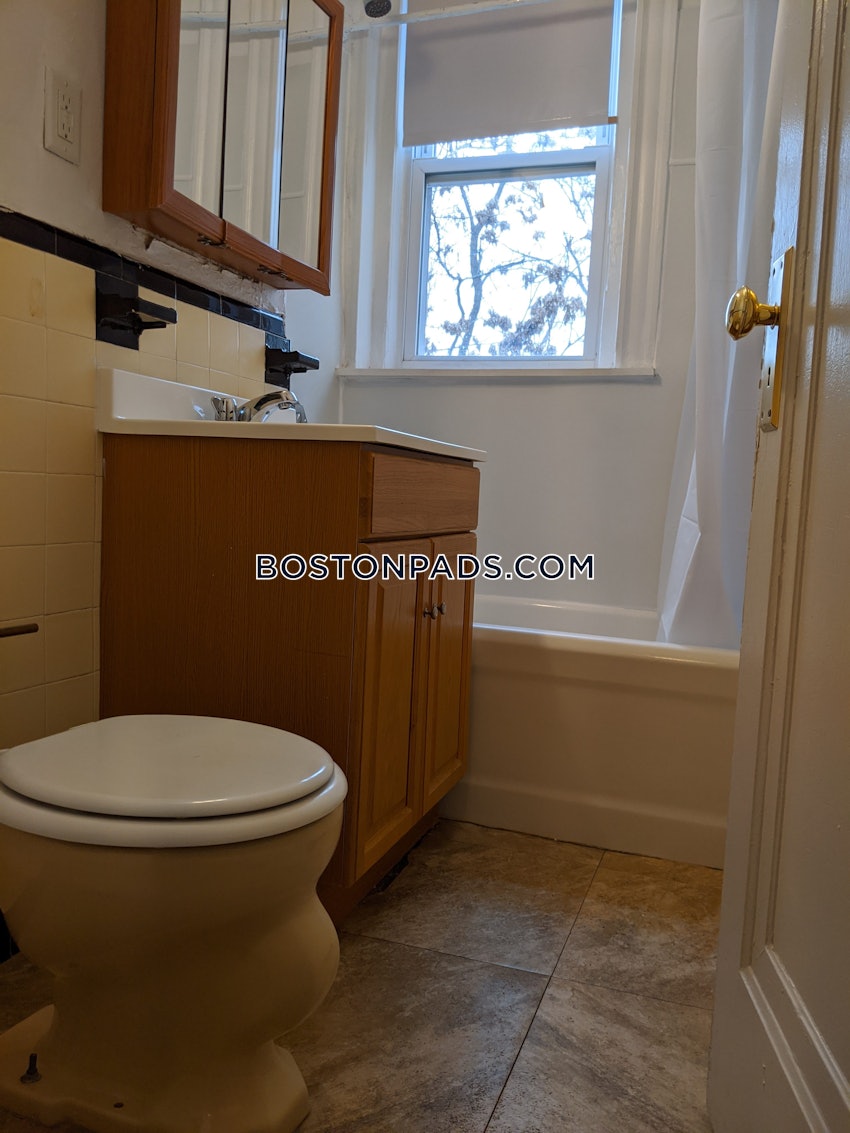 BOSTON - BRIGHTON - CLEVELAND CIRCLE - 1 Bed, 1 Bath - Image 3