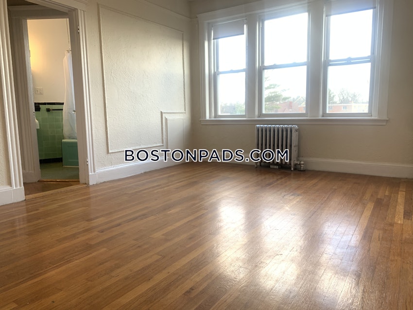 BOSTON - BRIGHTON - CLEVELAND CIRCLE - 1 Bed, 1 Bath - Image 21