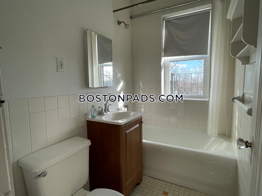 BOSTON - BRIGHTON- WASHINGTON ST./ ALLSTON ST. - 1 Bed, 1 Bath - Image 10