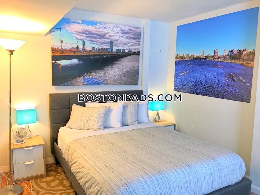 BOSTON - SOUTH BOSTON - WEST SIDE - 3 Beds, 1 Bath - Image 23