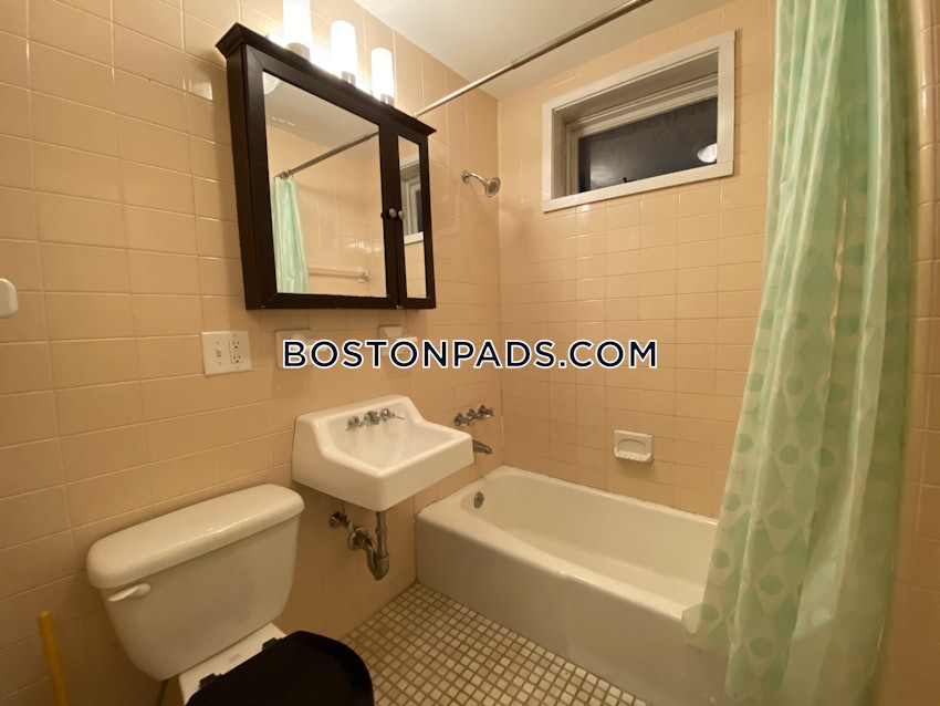 BROOKLINE- LONGWOOD AREA - 1 Bed, 1 Bath - Image 41