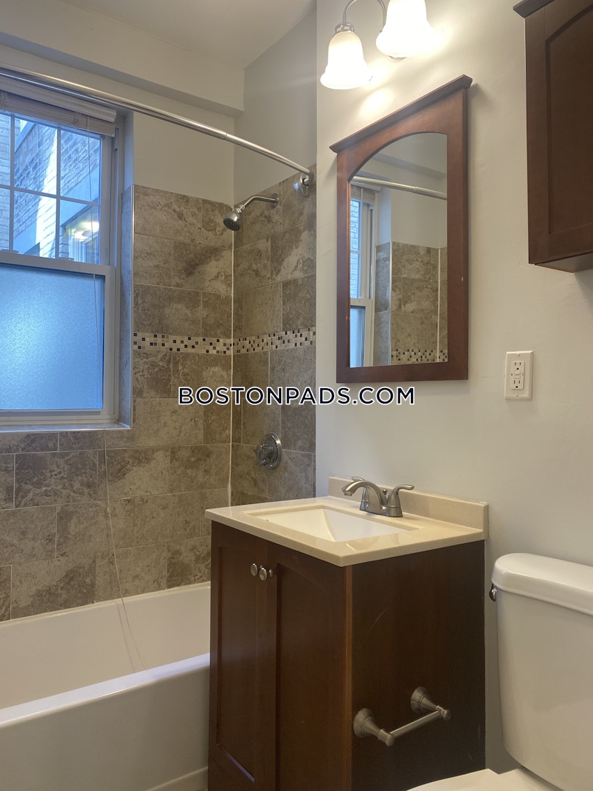 BOSTON - BRIGHTON - CLEVELAND CIRCLE - 1 Bed, 1 Bath - Image 12