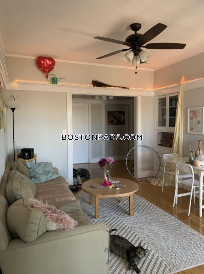 BOSTON - ALLSTON - 3 Beds, 1 Bath - Image 9