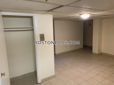 Commonwealth Ave. Boston photo 8