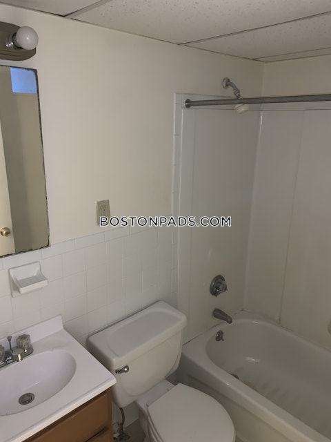 Commonwealth Ave. Boston photo 17