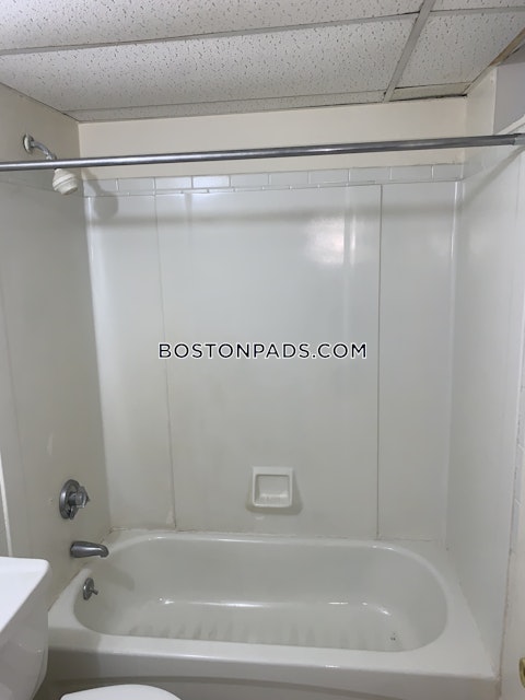 Commonwealth Ave. Boston photo 15