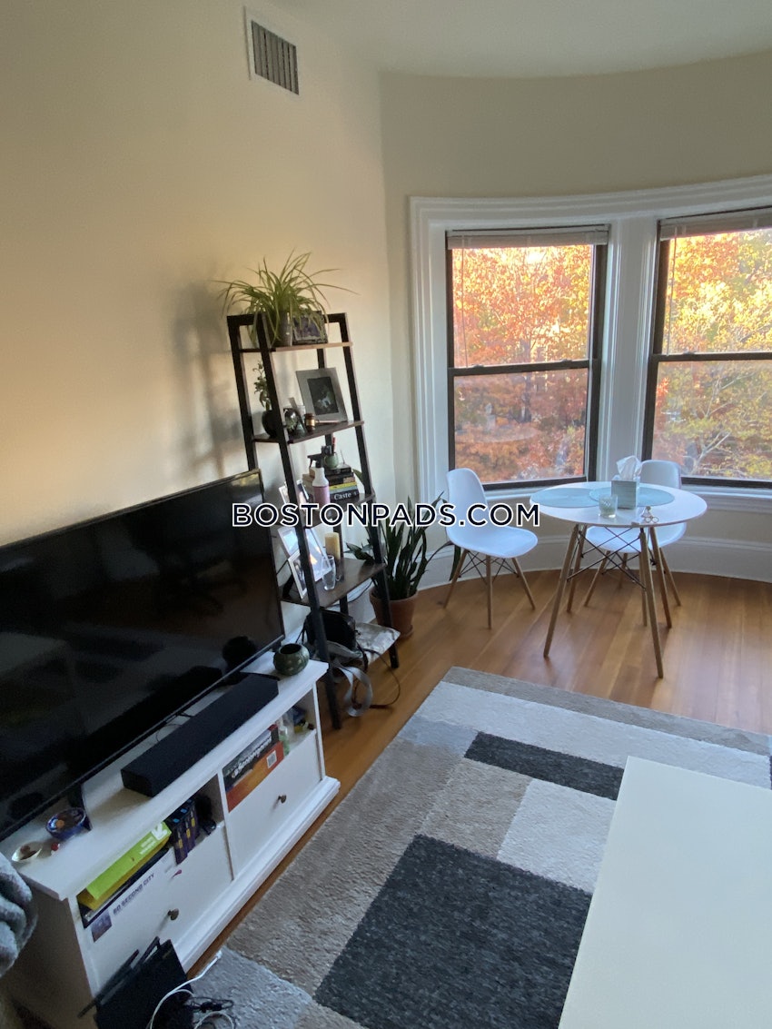 BROOKLINE- COOLIDGE CORNER - 1 Bed, 1 Bath - Image 7