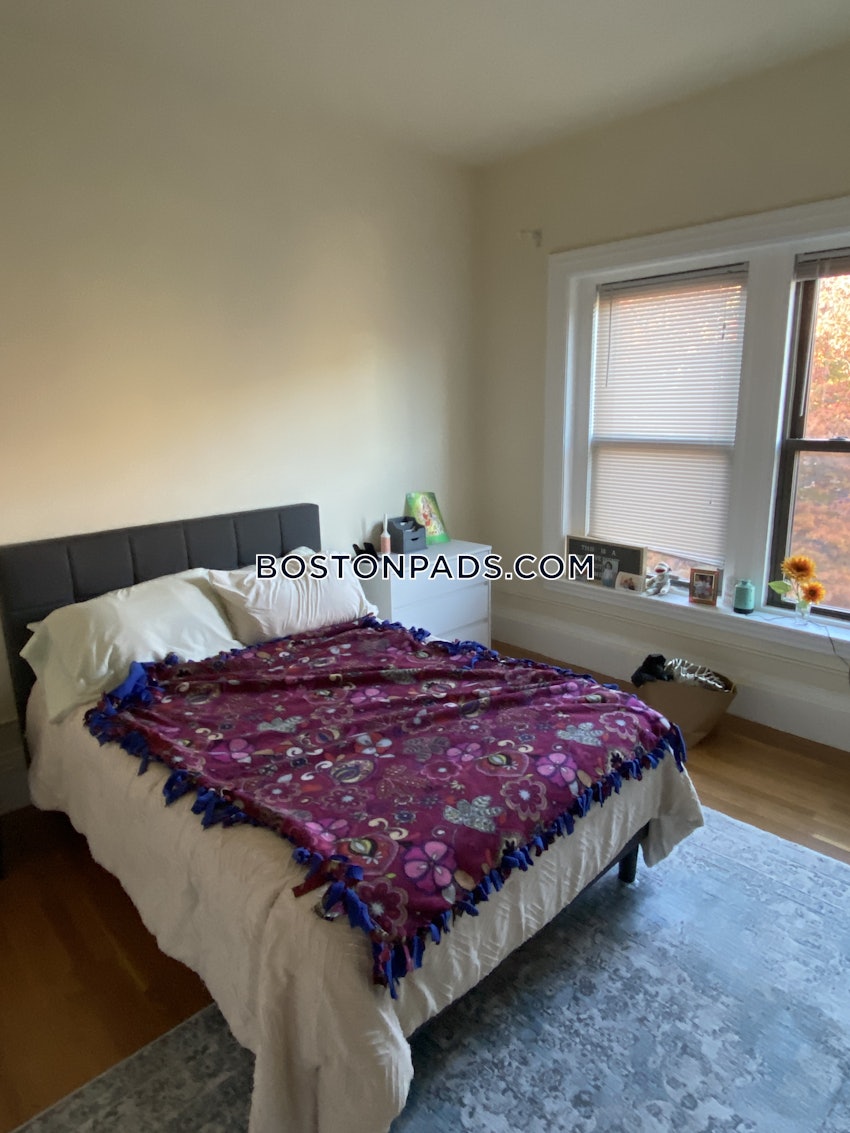 BROOKLINE- COOLIDGE CORNER - 1 Bed, 1 Bath - Image 4