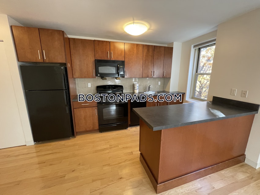 BOSTON - BRIGHTON- WASHINGTON ST./ ALLSTON ST. - 1 Bed, 1 Bath - Image 16