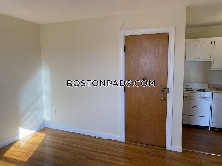 BOSTON - ALLSTON/BRIGHTON BORDER - 1 Bed, 1 Bath - Image 14