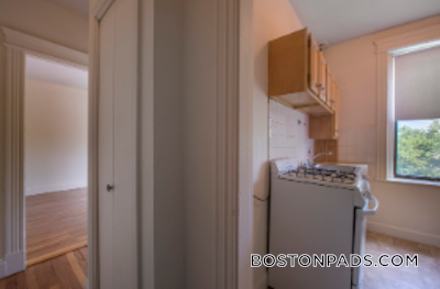 Allston Apartment for rent 1 Bedroom 1 Bath Boston - $2,450