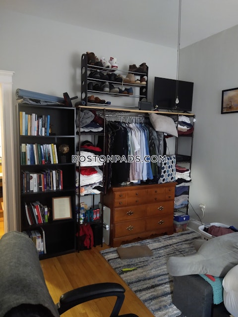 Commonwealth Ave. Boston photo 3