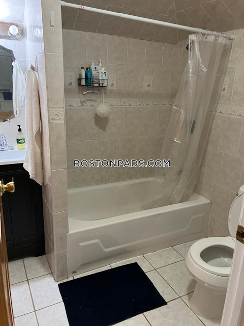 Commonwealth Ave. Boston photo 16