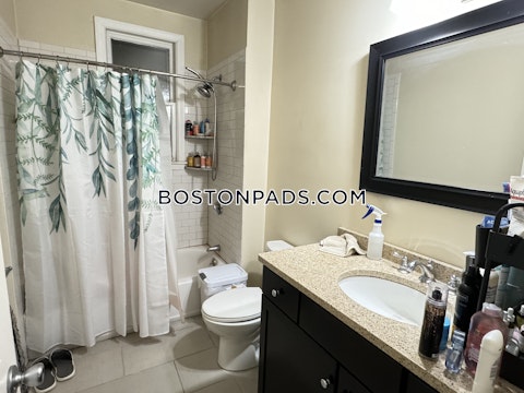 Juniper St. Boston photo 19