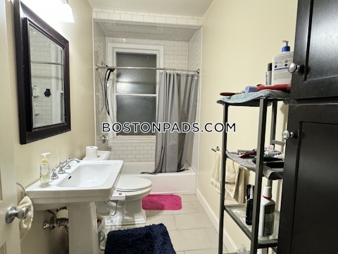 Juniper St. Boston photo 18