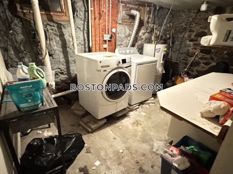 Juniper St. Boston photo 6