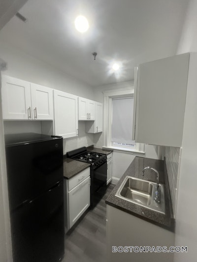 Fenway/kenmore Apartment for rent 1 Bedroom 1 Bath Boston - $2,835 No Fee