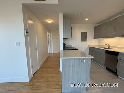 Allston Apartment for rent 2 Bedrooms 2 Baths Boston - $4,250 No Fee