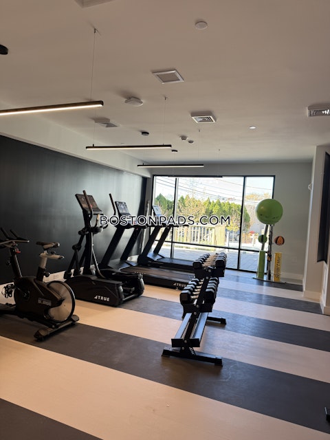 Gardner St. Boston photo 5