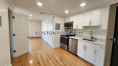 Lower Allston Apartment for rent 2 Bedrooms 1 Bath Boston - $2,995 No Fee