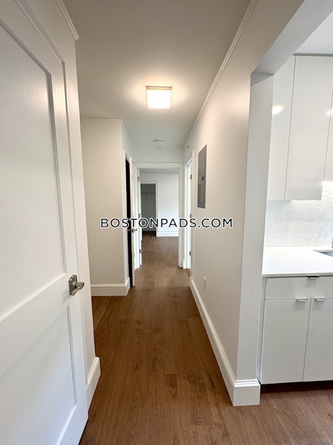 Massachusetts Ave. Cambridge photo 4