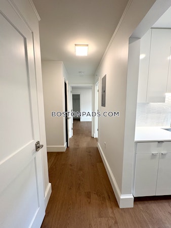 Massachusetts Ave. Cambridge