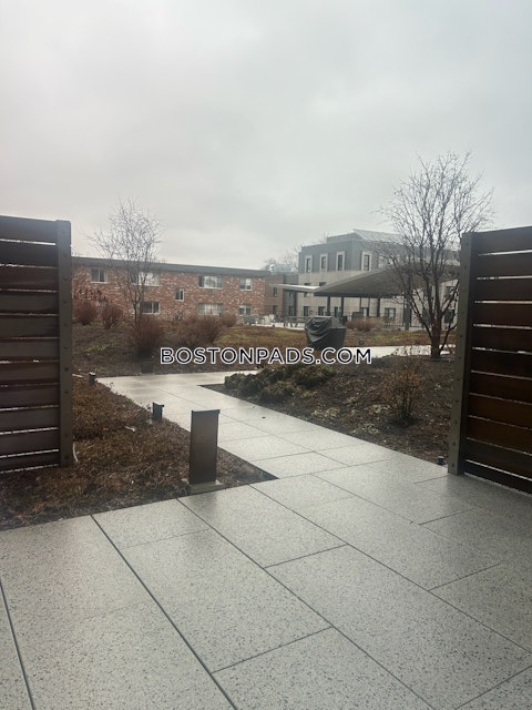 Brighton Ave. Boston photo 49