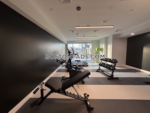 Gardner St. Boston photo 12