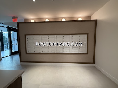 Gardner St. Boston photo 25