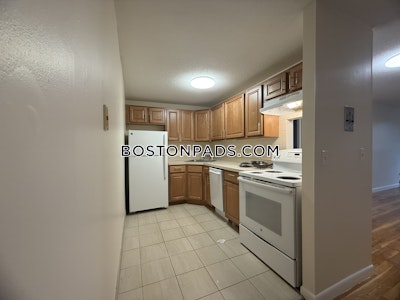 Cambridge Apartment for rent 1 Bedroom 1 Bath  Mt. Auburn/brattle/ Fresh Pond - $2,150 No Fee