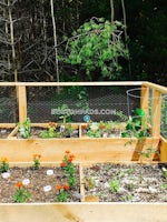 Princeton Way., Westford