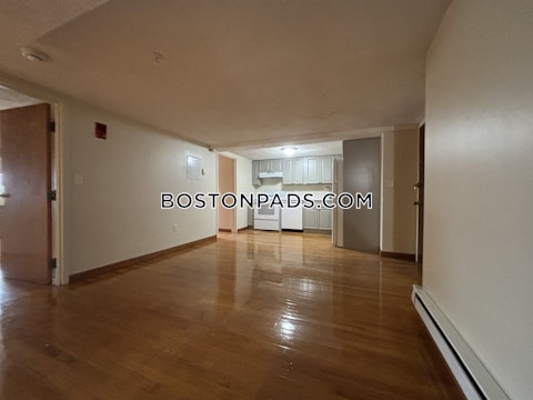 commonwealth Ave. Boston photo 10