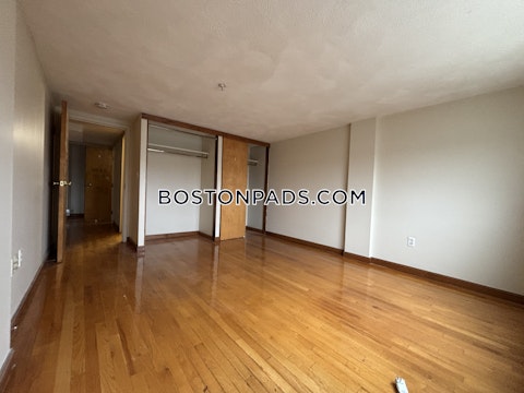 commonwealth Ave. Boston photo 8