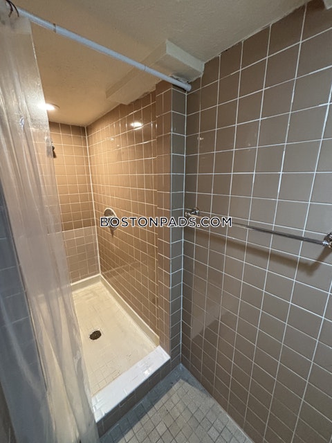 commonwealth Ave. Boston photo 11