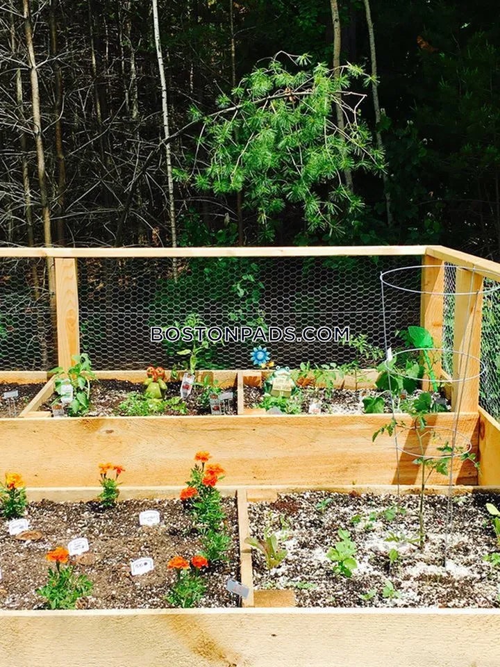 Princeton Way. Westford