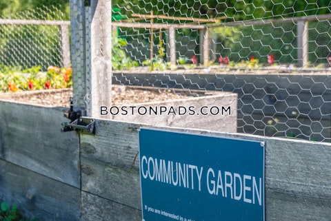 Princeton Way. Westford photo 59