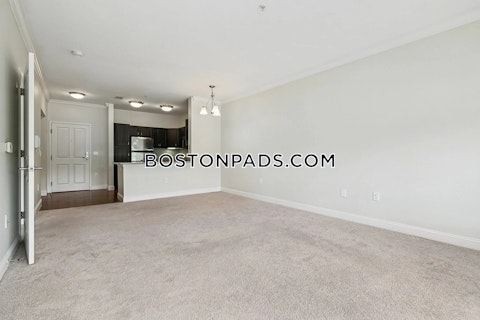 Princeton Way. Westford photo 45